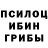 Псилоцибиновые грибы Psilocybe MAG DAG